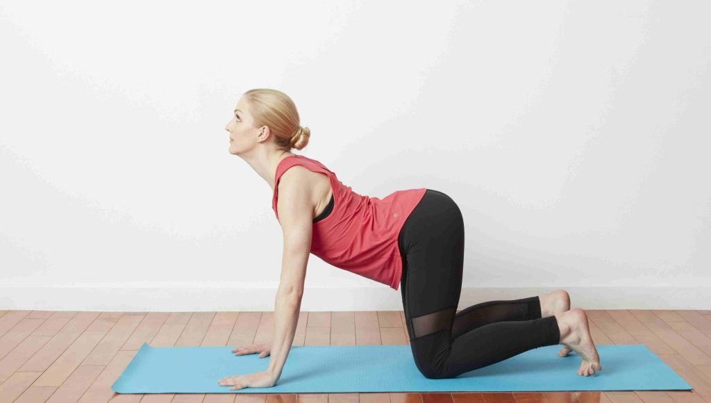 Cat-camel-back-stretch