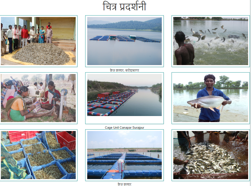 (CG) मत्स्य विकास पुरस्कार योजना 2022: ऑनलाइन आवेदन लाभ व पात्रता - फॉर्म Pdf