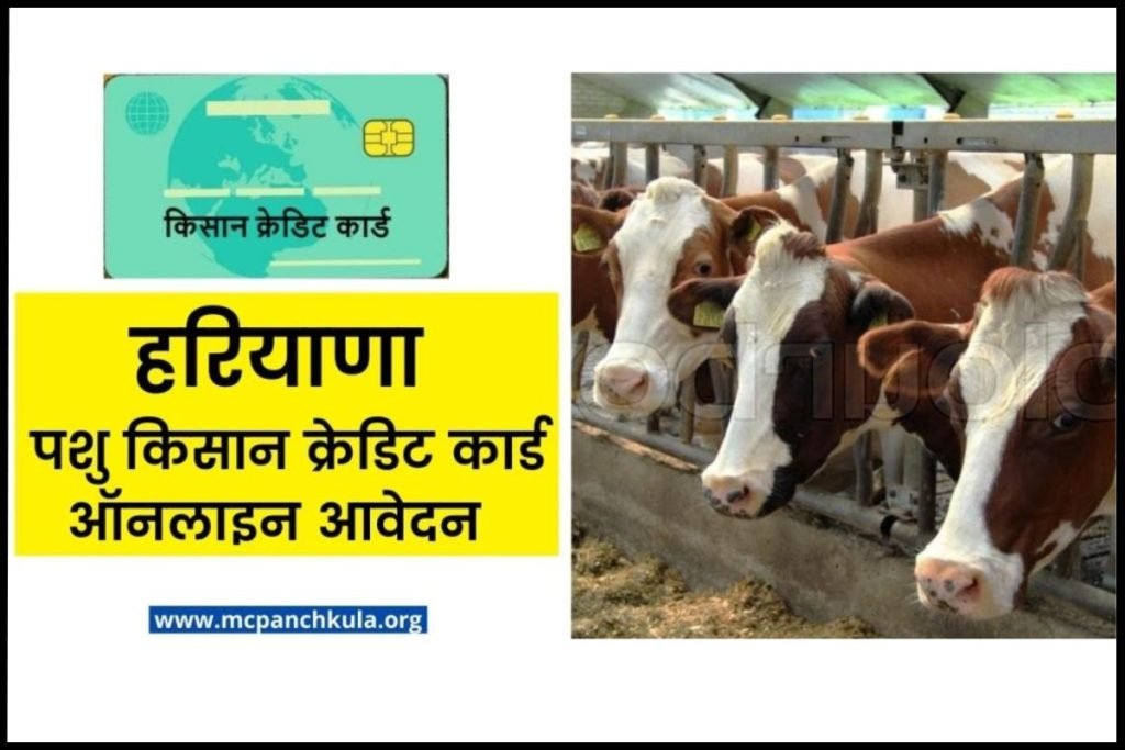 हरियाणा पशु किसान क्रेडिट कार्ड