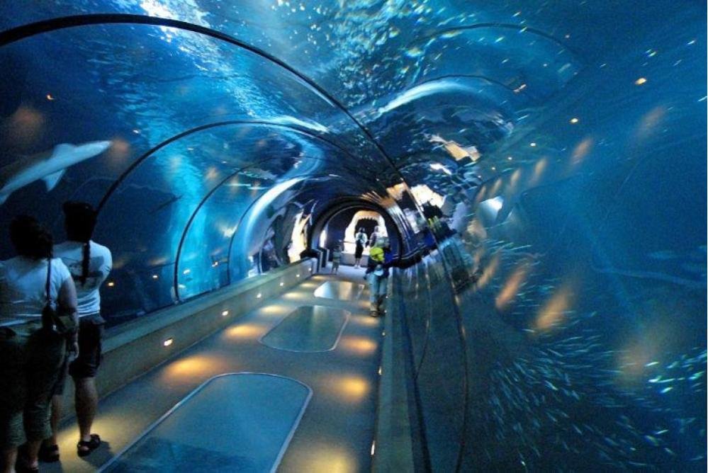 Places To Visit In Bangalore
