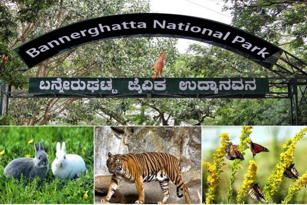 Places To Visit In Bangalore
