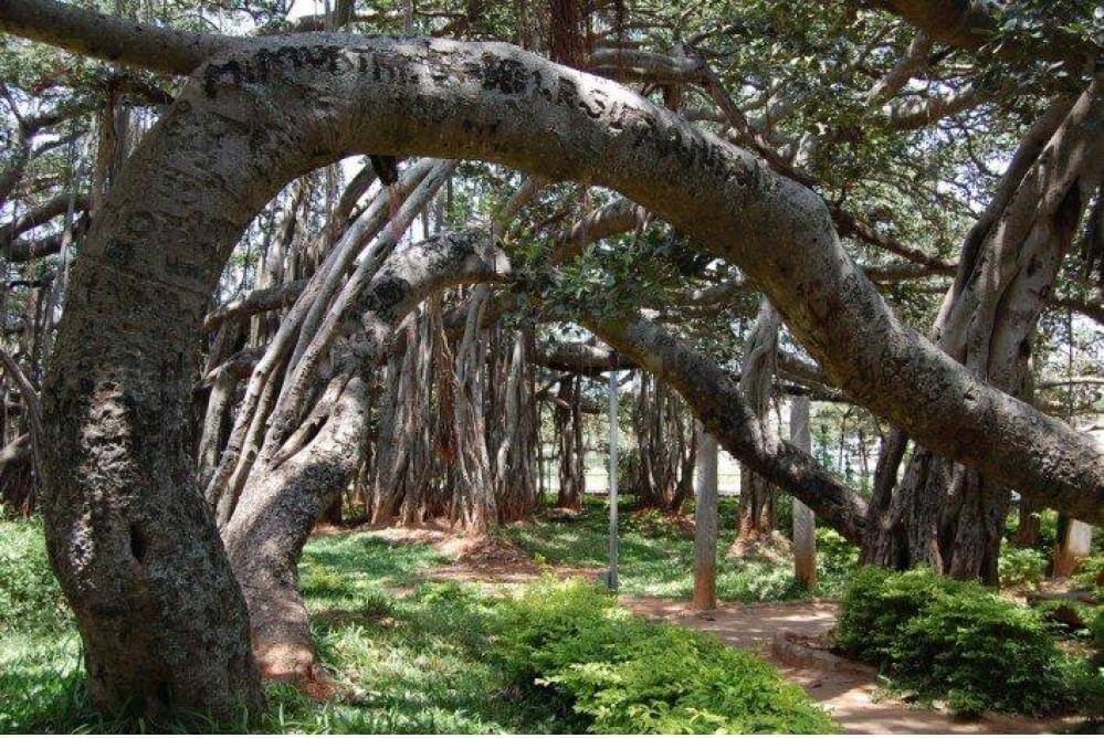 Places To Visit In Bangalore