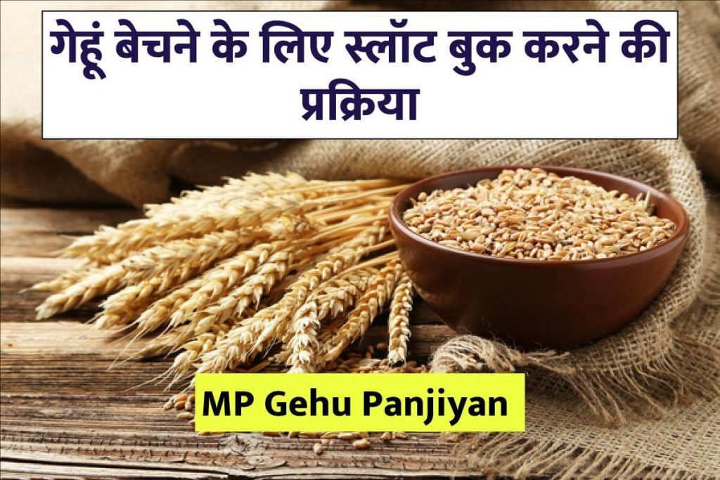 MP Gehu Panjiyan 2023-24: गेहूं बेचने हेतु स्लॉट बुकिंग @ mpeuparjan.nic.in