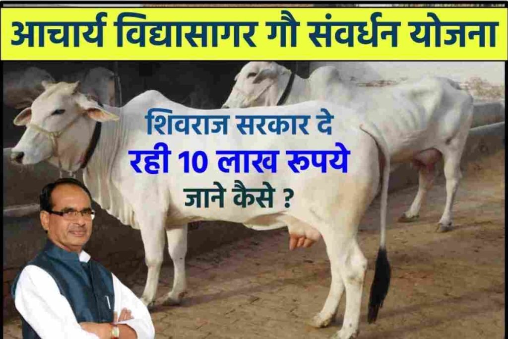 आचार्य विद्यासागर गौ संवर्धन योजना