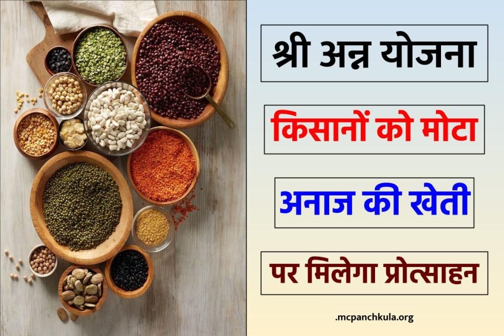 श्री अन्न योजना : किसानों को मोटा अनाज की खेती पर मिलेगा प्रोत्साहन