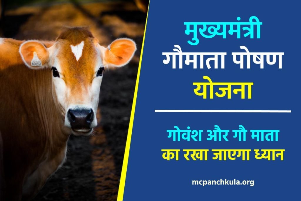 मुख्यमंत्री गौमाता पोषण योजना लांच हुई, गोवंश और गौ माता का रखा जाएगा ध्यान