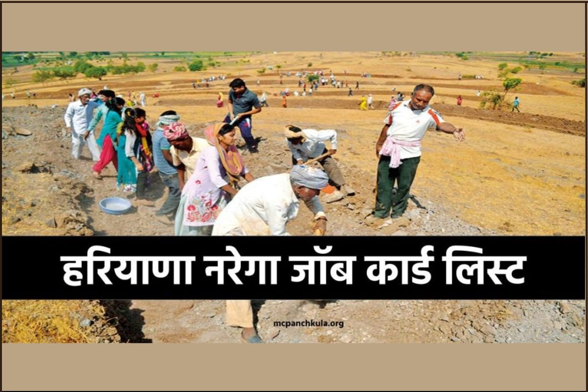 NREGA: नरेगा जॉब कार्ड लिस्ट हरियाणा में नाम चेक करें