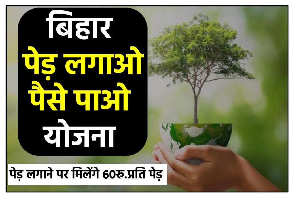 पेड़ लगाओ पैसे पाओ योजना