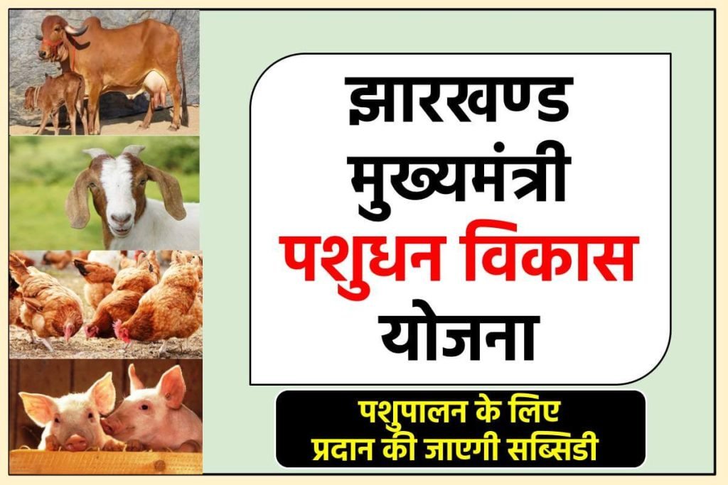 झारखण्ड मुख्यमंत्री पशुधन विकास योजना आवेदन करें