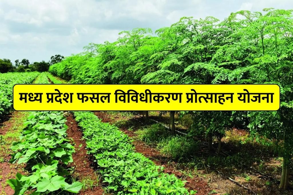 मध्य प्रदेश फसल विविधीकरण प्रोत्साहन योजना , उद्देश्य एवं लाभ