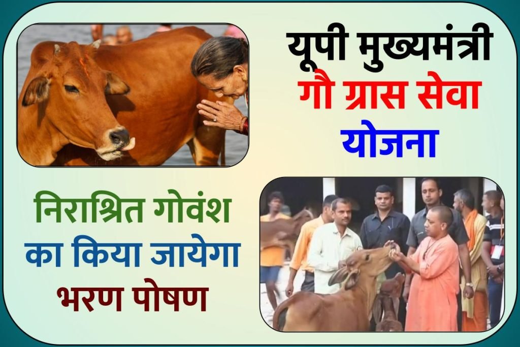 यूपी मुख्यमंत्री गौ ग्रास सेवा योजना | निराश्रित गोवंश का किया जायेगा भरण पोषण