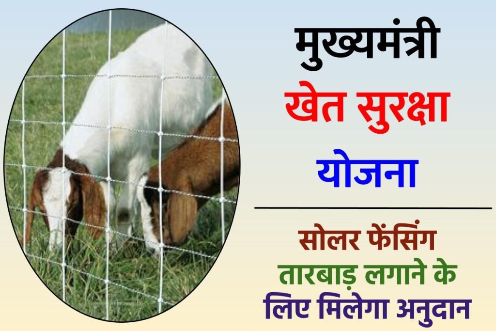 मुख्यमंत्री खेत सुरक्षा योजना यूपी – सोलर फेंसिंग तारबाड़ लगाने के लिए मिलेगा अनुदान