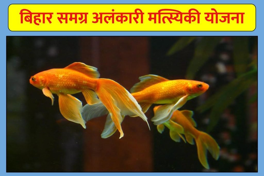 बिहार समग्र अलंकारी मत्स्यिकी योजना ; लाभ, आवेदन प्रक्रिया, पात्रता