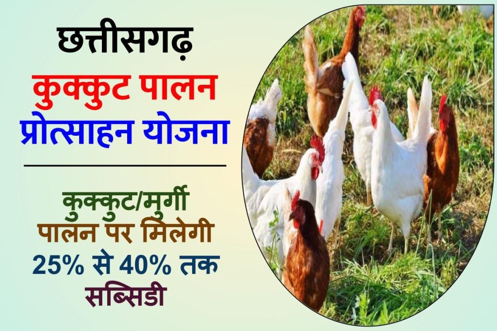छत्तीसगढ़ कुक्कुट पालन प्रोत्साहन योजना शुरू हुई, कुक्कुट/मुर्गी पालन पर मिलेगी 25% से 40% तक सब्सिडी