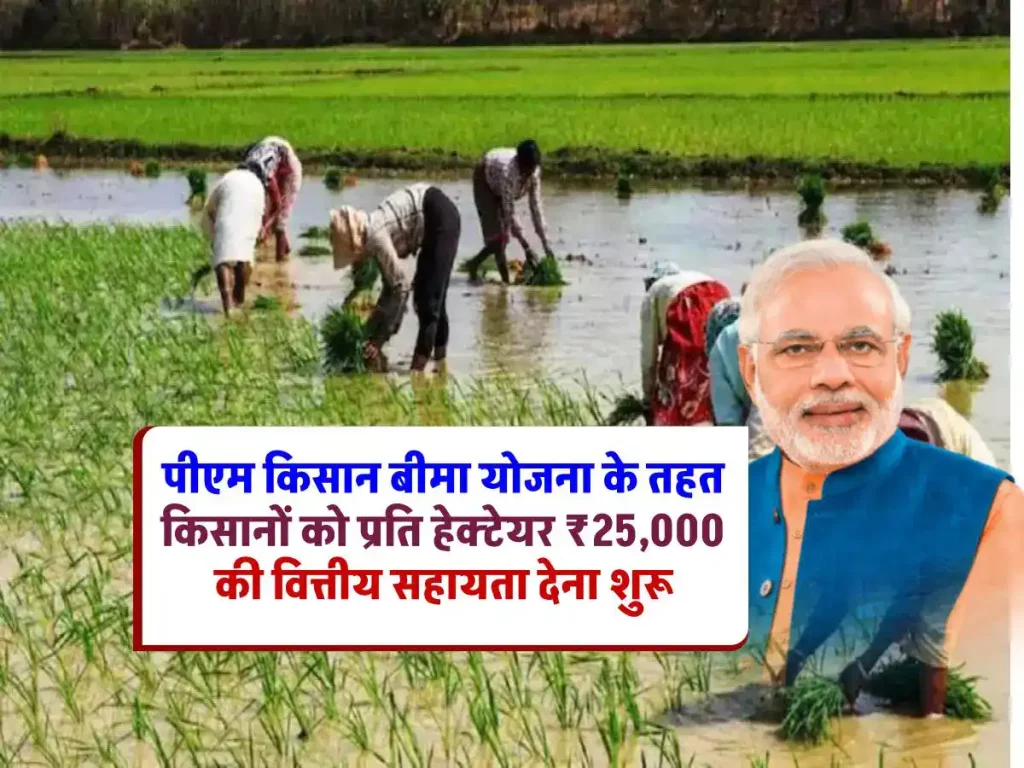 PM फसल बीमा योजना 2024: किसानों के लिए ₹25,000 प्रति हेक्टेयर की आर्थिक मदद