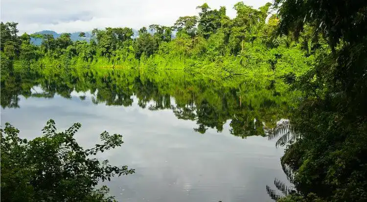 Debundsha, Colombia
