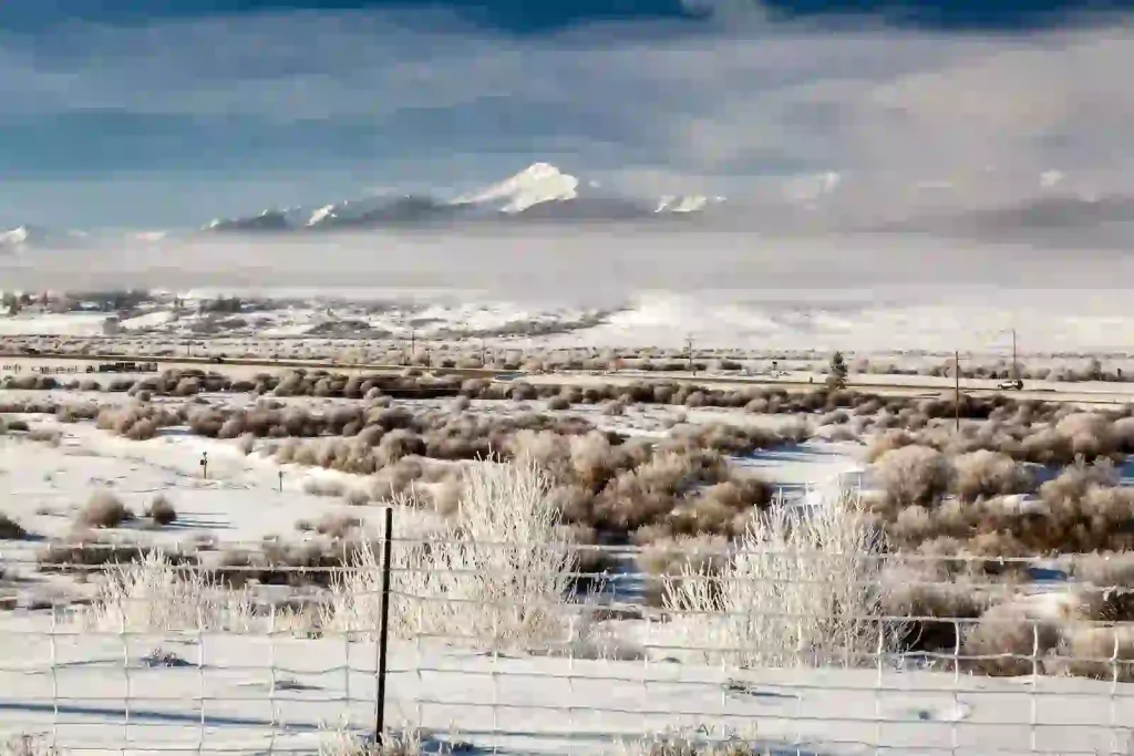 Fraser Colorado State
