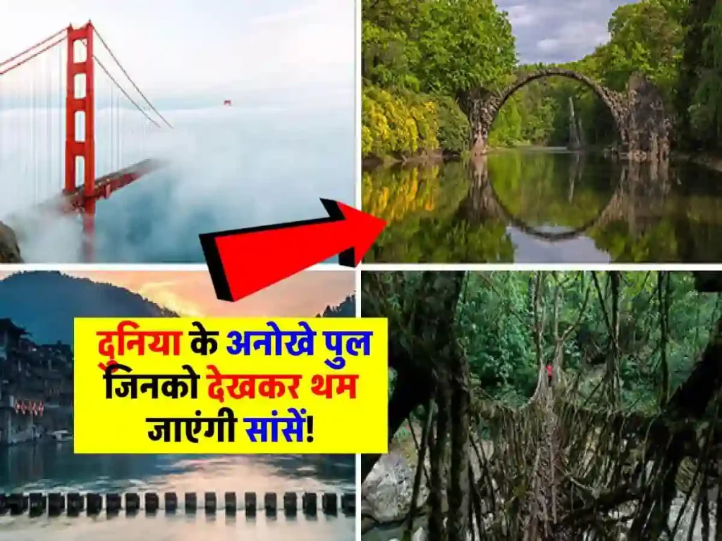 ये हैं दुनिया के ऐसे पुल इन्हें देखकर थम जाएंगी सांसें, देखें