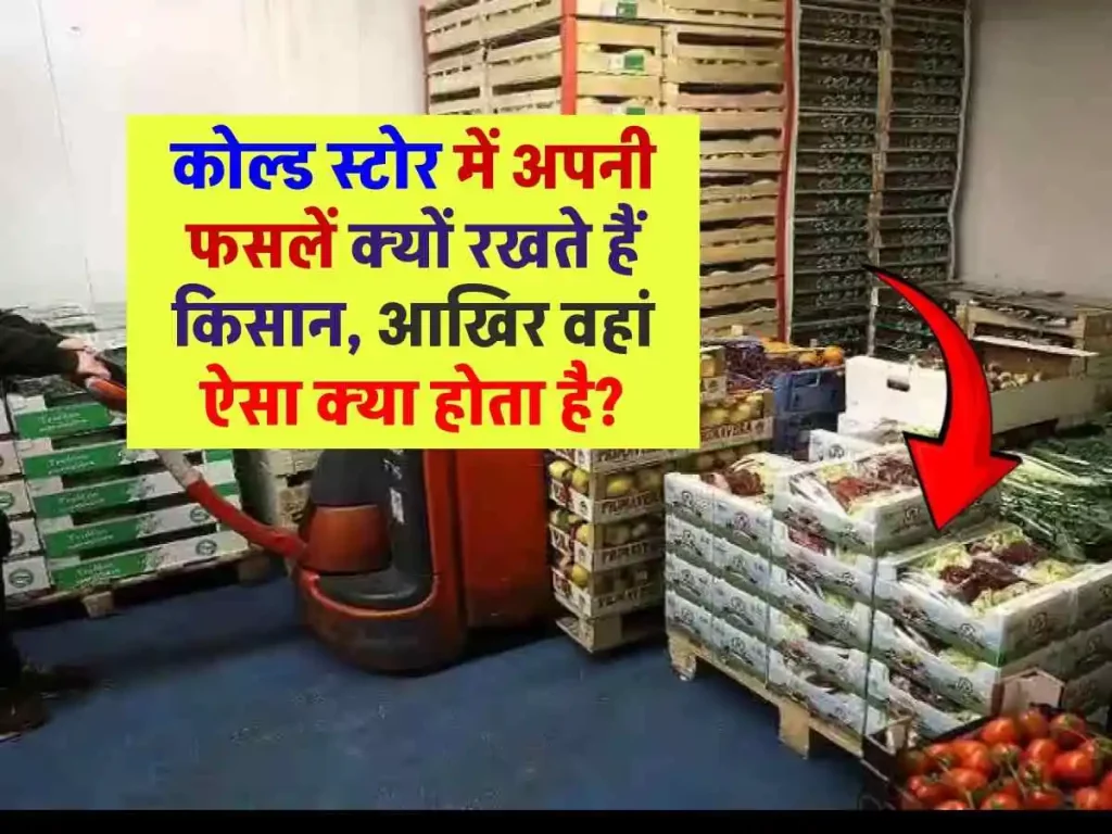क्या आप जानते हो कोल्ड स्टोर में फ़सलों को क्यों रखा जाता है ? जानिए इसके फायदे