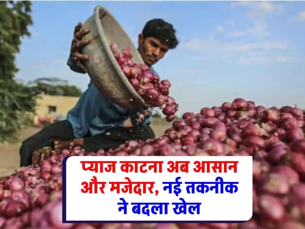 Onion : प्याज को हमेशा के लिए अलविदा कहें? नई तकनीक ने खोला नया विकल्प