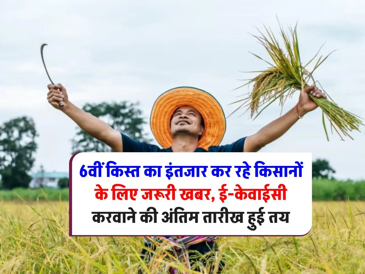 PM Kisan Yojana: 16वीं किस्त के लिए ई-केवाईसी अनिवार्य! नहीं तो खाते में नहीं आएगा पैसा, तारीख हुई तय, जानिए डिटेल