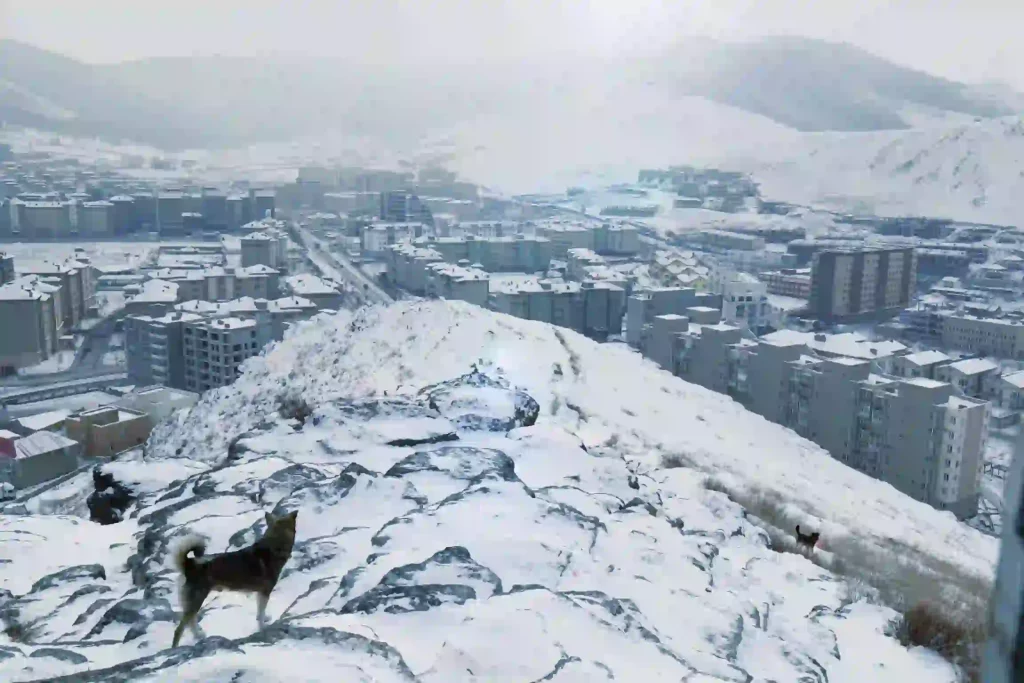 ulaanbaatar